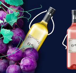 Elixir without promile: The secret of making non-alcoholic wine