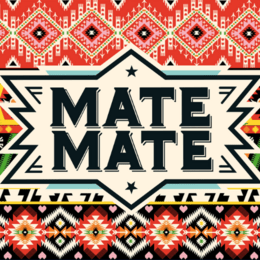 Mate Mate: Healthy energy drink replacement