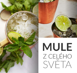 Mule z celého světa