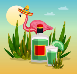 Tequila: Pôvabný nápoj z Mexika