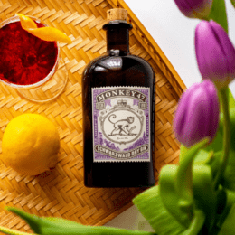 47 Botanist: Meet the Monkey 47 Gin