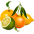 Citrus