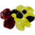 Raisin