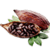 Cocoa