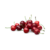 Cherries