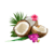Tropical