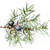 Blueberries