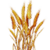 Grain