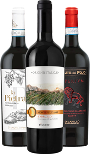 Vino del Poggio 赤ワイン 2018 13.5％vol 5本セット Montepulciano d'Abruzzo DOC wine set - Wine – value packs | Bondston