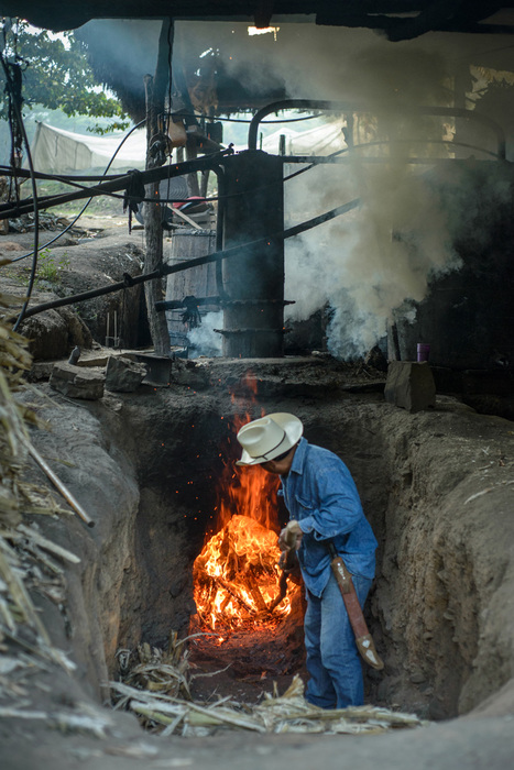 Paranubes Caña Morada