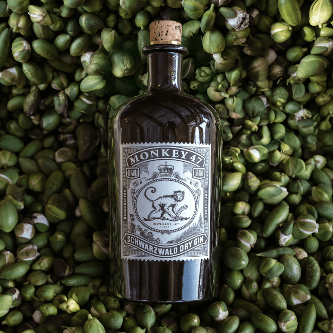 Monkey 47 Distiller's Cut 2024 0,5l