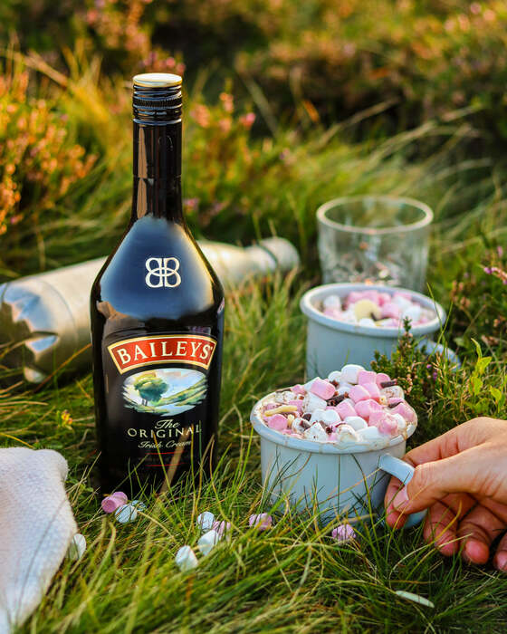 Baileys 1l