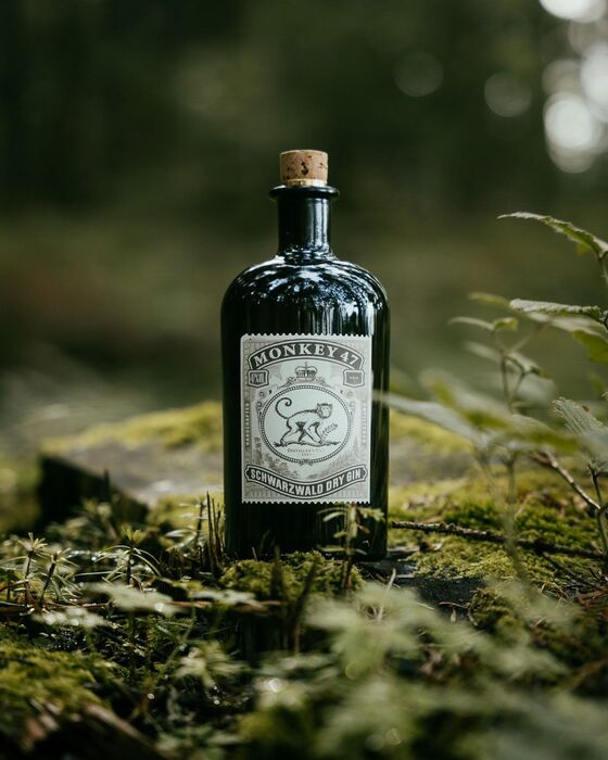 Monkey 47 Dry Gin