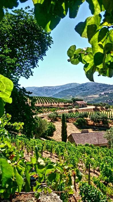 Croft Vintage Port 2017