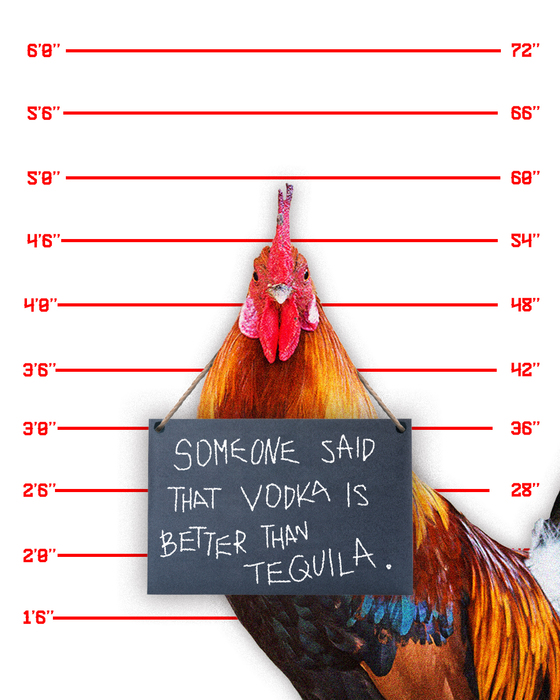 Rooster Rojo Blanco