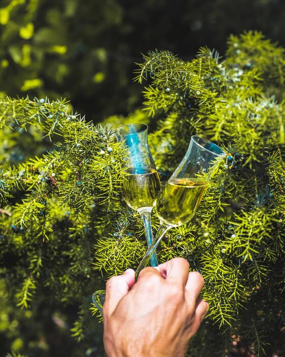 BVD Borovička Oak Aged 6 letá