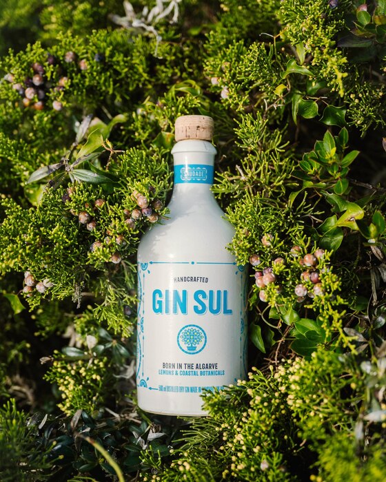 Gin Sul