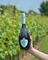 Giusti Asolo Prosecco Superiore DOCG Extra Brut