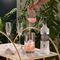 Russian Standard Original