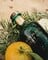 Mermaid Zest Gin