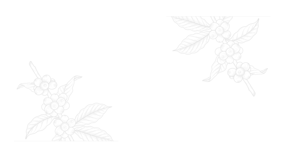 Top 10 káv