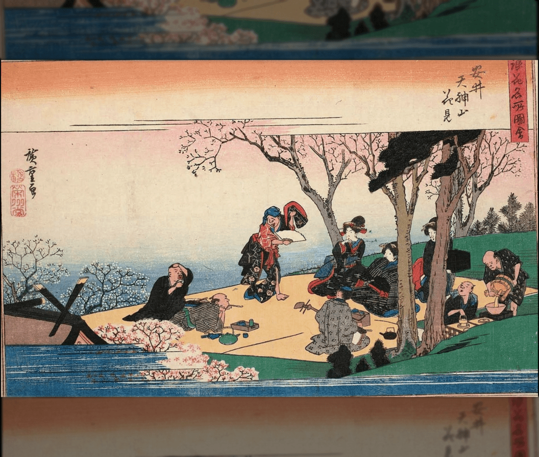 Historie HANAMI