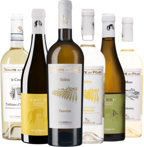 Bundle of white wines Di Camillo
