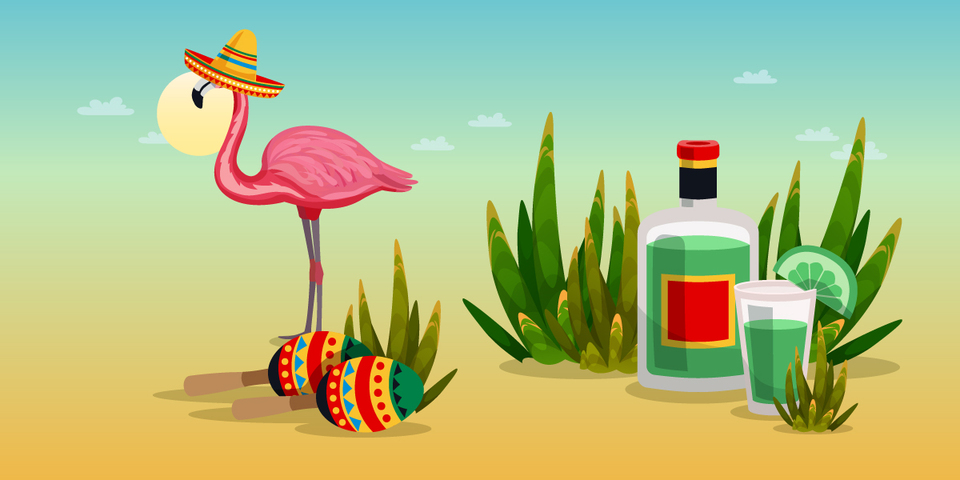 Tequila: Pôvabný nápoj z Mexika