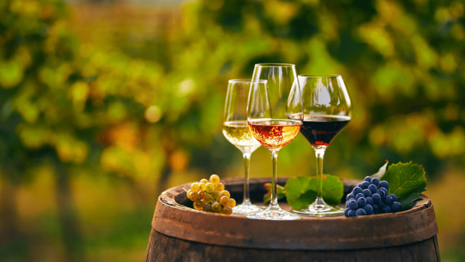 Different types of wine glasses: how to choose from them?