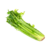 Celery