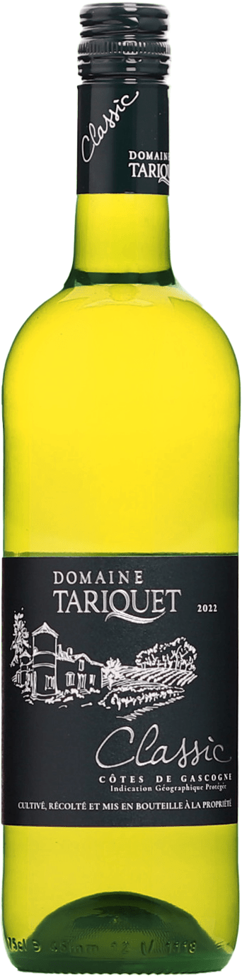 Domaine Tariquet Classic 10,5% 0,75l (čistá fľaša)