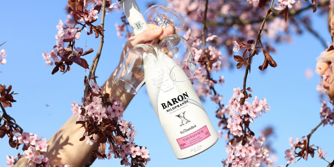 Baron Hildprandt Višňovice - Cherry Liqueur | Bondston