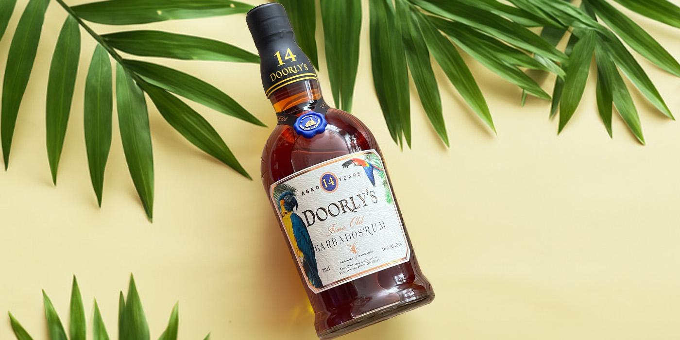 doorlys-14y-monstera.jpg?m=