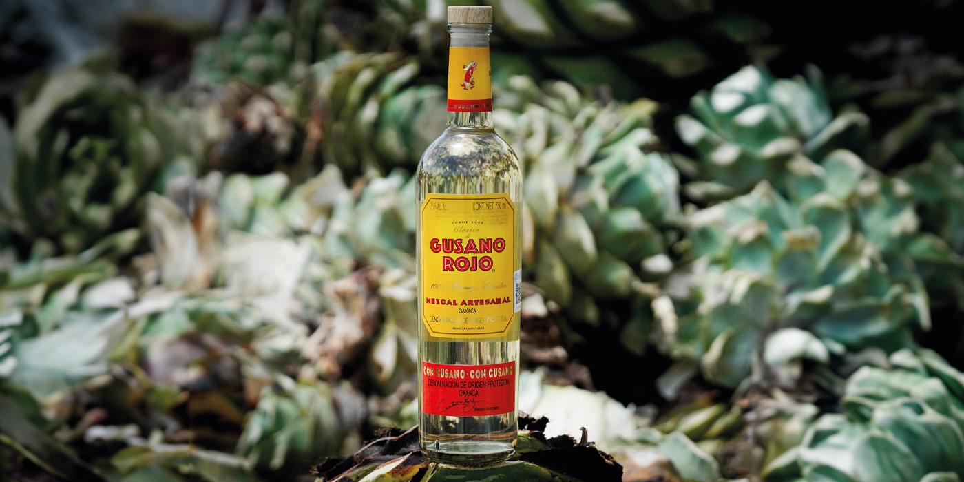 Gusano Rojo Mezcal Oaxaca 100% Agave | Bondston