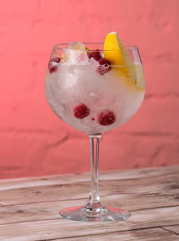 Raspberry Gin & Tonic