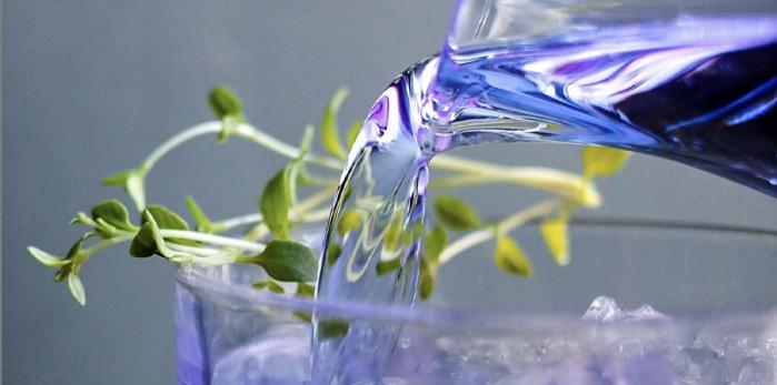 The Illusionist Dry Gin