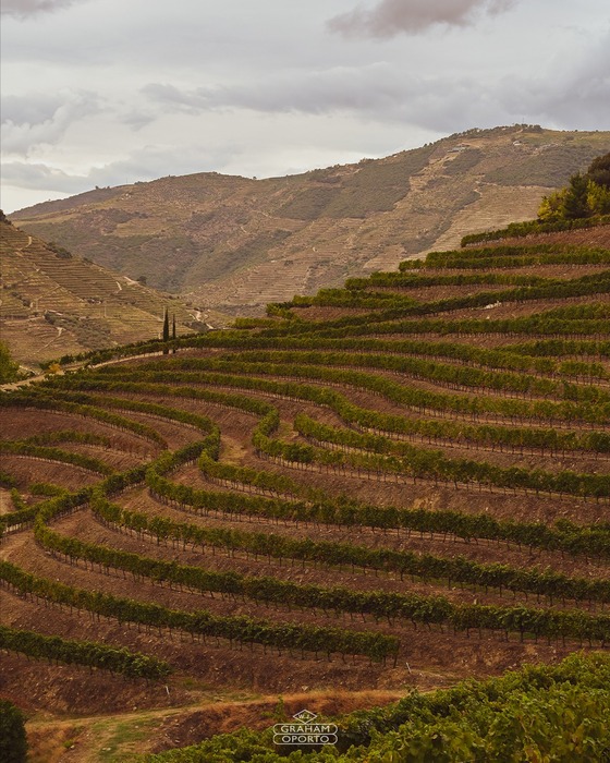 Graham&#039;s 20 ročné Tawny Port