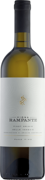 Vigna Rampante Pinot Grigio Delle Venezie DOC 2021 Paso Fino