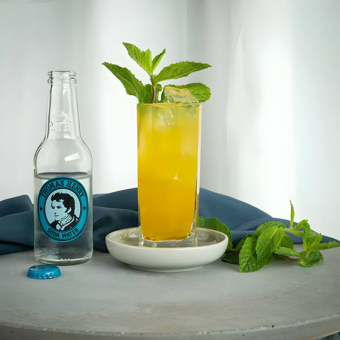 Thomas Henry Soda Water 0,2l
