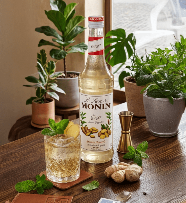 Monin Zázvor