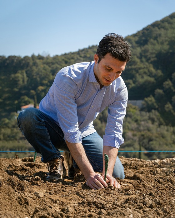 Metaxa 12* + 2 poháre