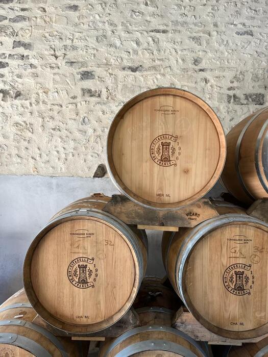 Citadelle No Mistake Old Tom Gin