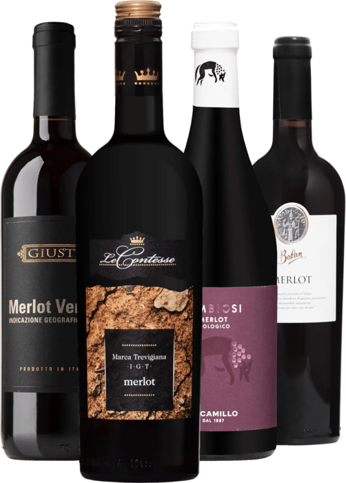 Set vín Merlot