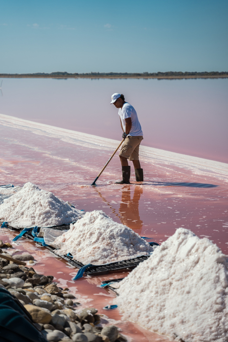 Monkey 47 Distiller’s Cut 2025