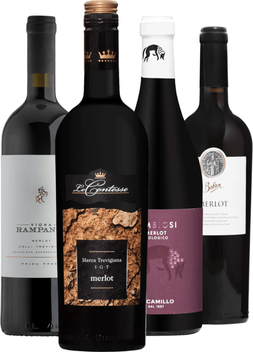 Bundle of Merlot wines