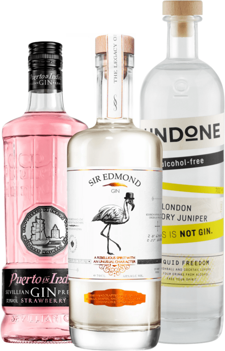 Set Sir Edmond + Puerto de Indias Strawberry + Undone No.2 Not Gin
