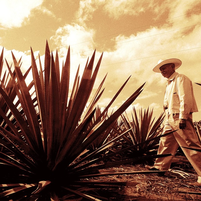 Don Julio 1942 Añejo