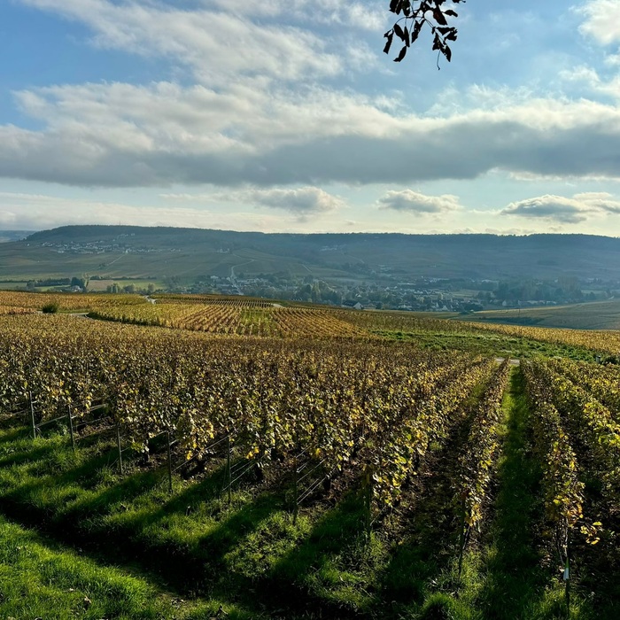 Vollereaux Rosé de Saignée Brut