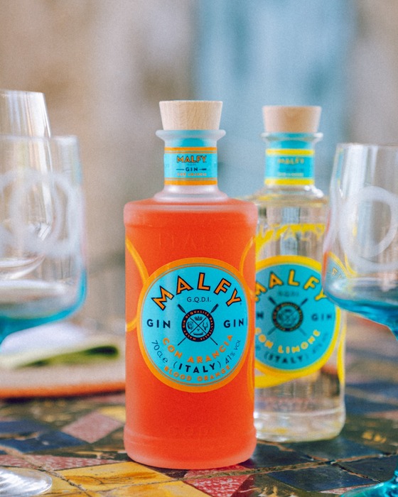 Malfy Gin Con Arancia