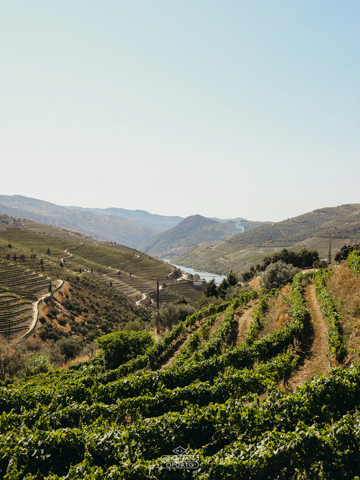 Graham&#039;s 30 ročné Tawny Port